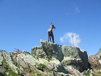 02 Stambecco al passo di Cigola